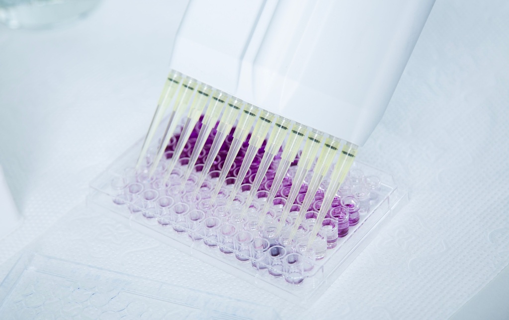 200uL Low Retention Reload Pipette Tips, Presterilized, RNase and DNase Free