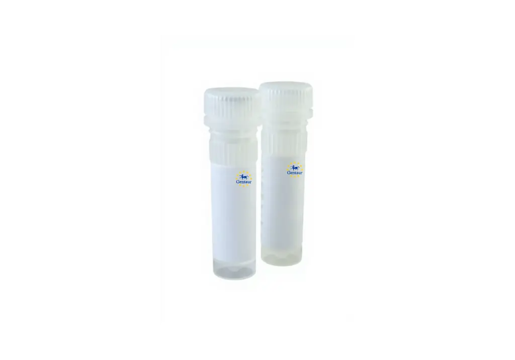  qmax cdna synthesis kit 25 reactions